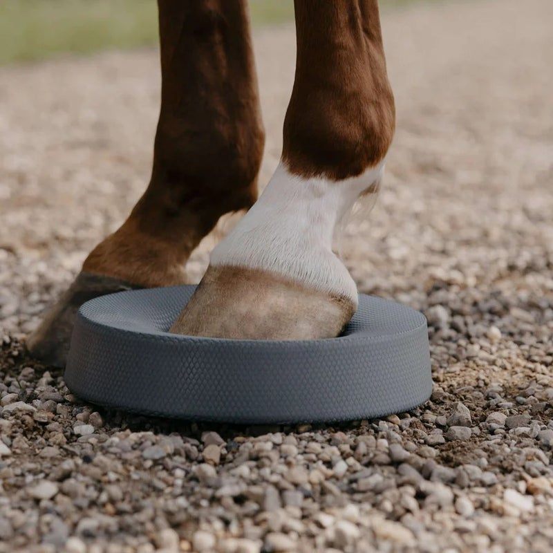 Norsholm Equestrian balance pad